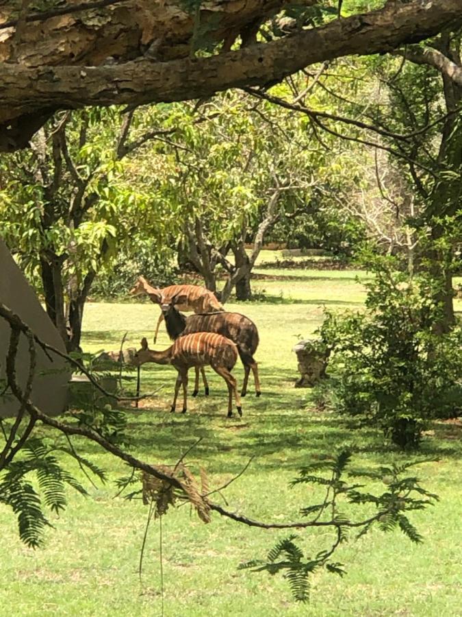 Jock Of The Bushveld Hotel Barberton Ngoại thất bức ảnh